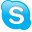 Skype 4.1