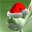 Free Christmas Dreams Screensaver 1.0