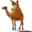 Arabic School Software 1.0