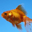 Free Aquarium Screensaver 1.0